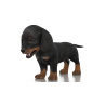 Dachshund Dog Puppy 3D Model PROmax3D - 5