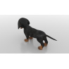 Dachshund Dog Puppy 3D Model PROmax3D - 8