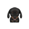 Dachshund Dog Puppy 3D Model PROmax3D - 9