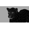 Rigged Sri Lankan Leopard 3D Model PROmax3D - 25