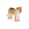 Lion Cub 3D Model Furry PROmax3D - 6