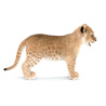 Lion Cub 3D Model Furry PROmax3D - 7