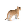 Lion Cub 3D Model Furry PROmax3D - 8