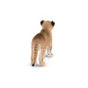 Lion Cub 3D Model Furry PROmax3D - 9