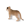 Lion Cub 3D Model Furry PROmax3D - 10