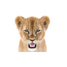 Lion Cub 3D Model Furry PROmax3D - 13