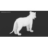 Lion Cub 3D Model Furry PROmax3D - 20