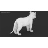 Lion Cub 3D Model Furry PROmax3D - 21