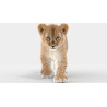 Animated Furry Lion Cub 3D Model PROmax3D - 2