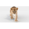 Animated Furry Lion Cub 3D Model PROmax3D - 5