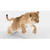 Animated Furry Lion Cub 3D Model PROmax3D - 6