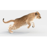 Animated Furry Lion Cub 3D Model PROmax3D - 7