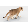 Animated Furry Lion Cub 3D Model PROmax3D - 8