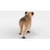 Animated Furry Lion Cub 3D Model PROmax3D - 9