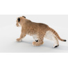 Animated Furry Lion Cub 3D Model PROmax3D - 10