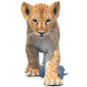 Animated Lion Cub 3D Model PROmax3D - 1