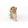 Animated Lion Cub 3D Model PROmax3D - 4