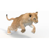 Animated Lion Cub 3D Model PROmax3D - 7