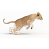 Animated Lion Cub 3D Model PROmax3D - 8