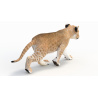 Animated Lion Cub 3D Model PROmax3D - 9