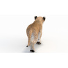 Animated Lion Cub 3D Model PROmax3D - 10