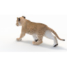 Animated Lion Cub 3D Model PROmax3D - 11