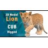 Animated Lion Cub 3D Model PROmax3D - 15