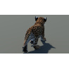 Animated Leopard Cub 3D Model PROmax3D - 5