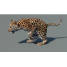 Animated Leopard Cub 3D Model PROmax3D - 6