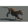 Animated Leopard Cub 3D Model PROmax3D - 7