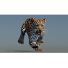 Animated Leopard Cub 3D Model PROmax3D - 8