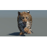 Animated Leopard Cub 3D Model PROmax3D - 10