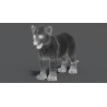 Animated Leopard Cub 3D Model PROmax3D - 12