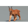 Animated Caracal 3D Model PROmax3D - 2