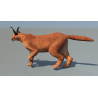 Animated Caracal 3D Model PROmax3D - 3