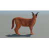 Animated Caracal 3D Model PROmax3D - 7