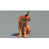 Animated Caracal 3D Model PROmax3D - 11