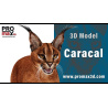 Caracal 3D Model PROmax3D - 16