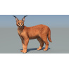 Caracal 3D Model Rigged  - 2