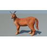 Caracal 3D Model Rigged  - 3