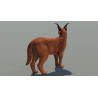 Caracal 3D Model Rigged  - 4