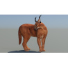Caracal 3D Model Rigged  - 5