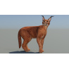 Caracal 3D Model Rigged  - 7