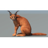 Caracal 3D Model Rigged  - 8
