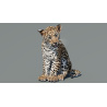 Rigged Leopard Cub 3D Model PROmax3D - 2