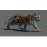 Rigged Leopard Cub 3D Model PROmax3D - 5