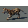 Rigged Leopard Cub 3D Model PROmax3D - 8