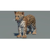 Leopard Cub 3D Model PROmax3D - 2