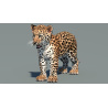 Leopard Cub 3D Model PROmax3D - 3