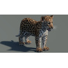 Leopard Cub 3D Model PROmax3D - 5